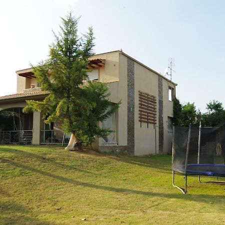 Villa Vasili Трикала Экстерьер фото