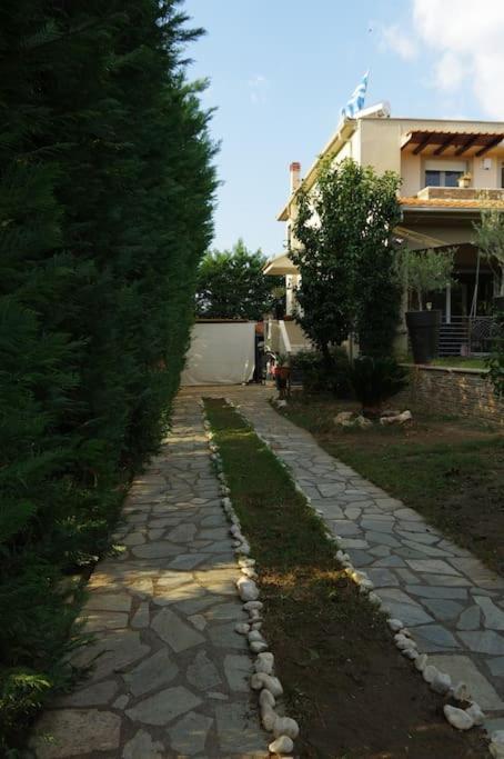 Villa Vasili Трикала Экстерьер фото