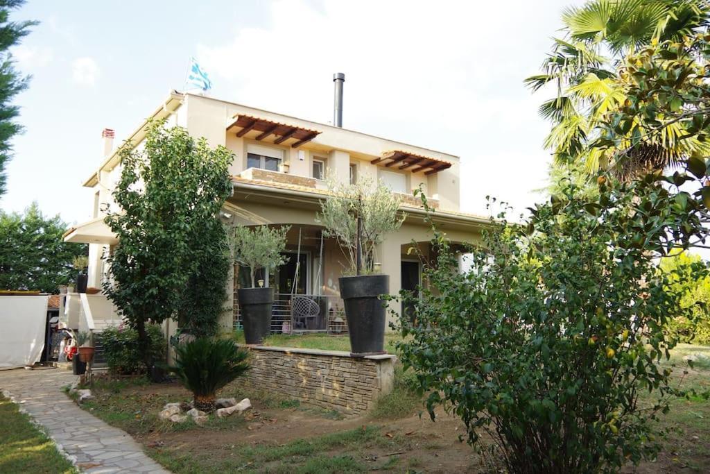 Villa Vasili Трикала Экстерьер фото